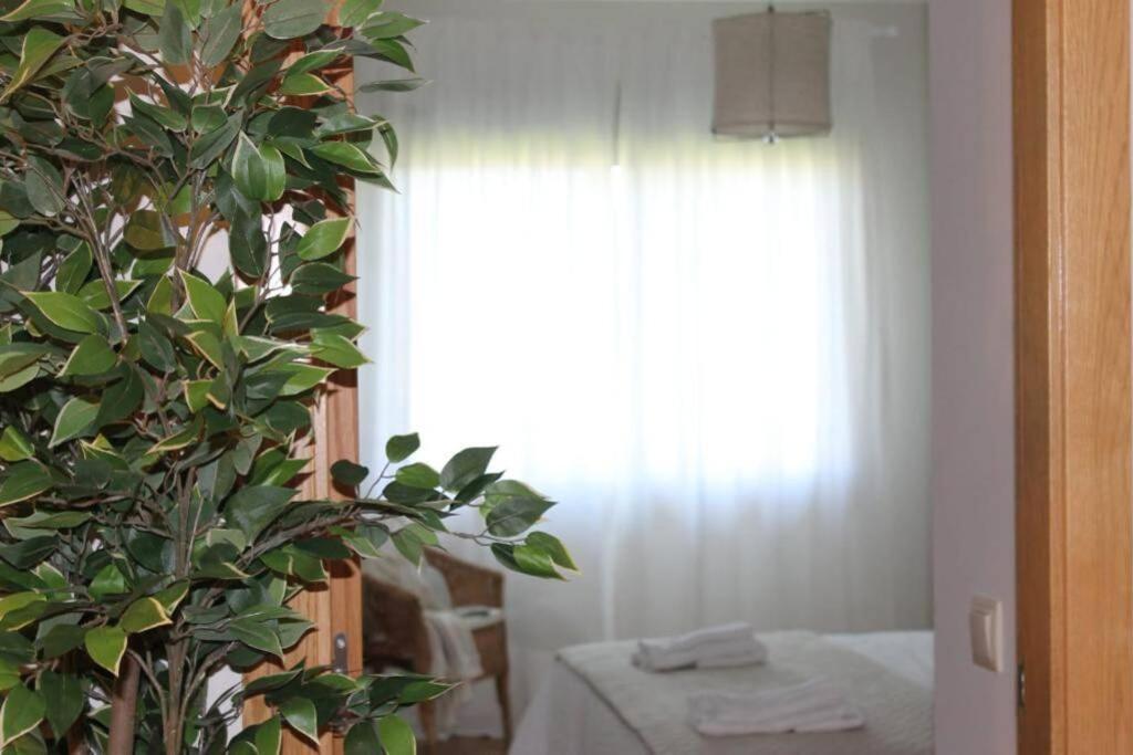 Apartamento Riomar Ribadumia Exteriör bild